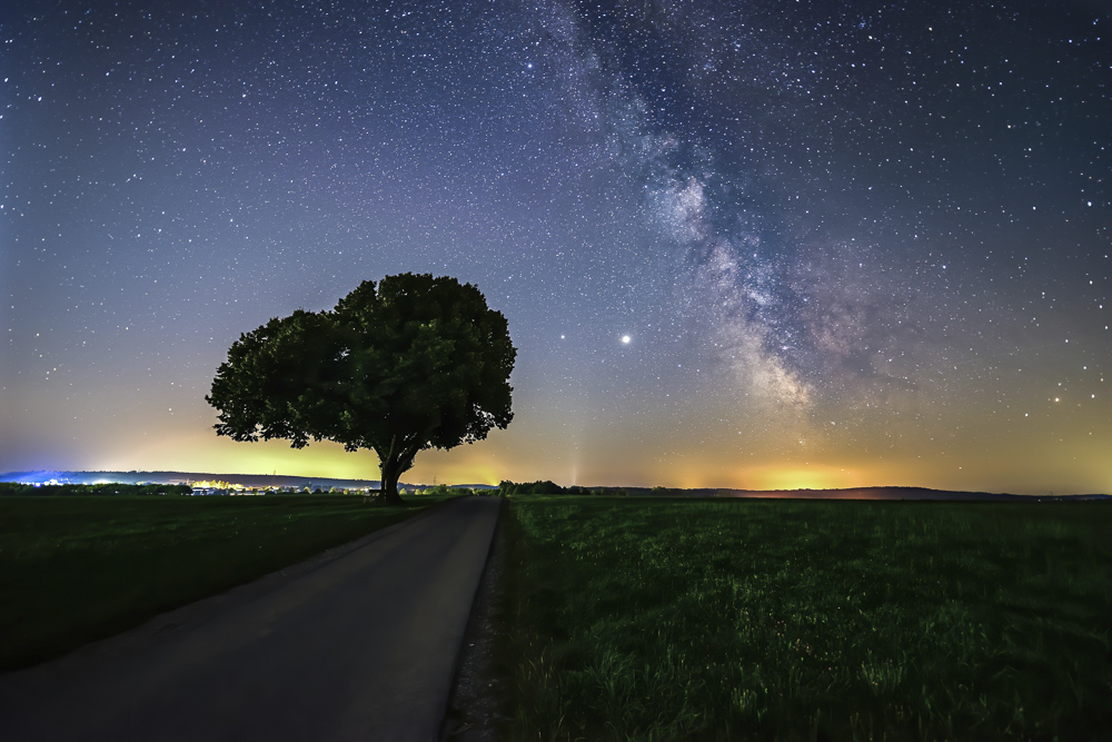 Platz 5 Kajetan Prinz